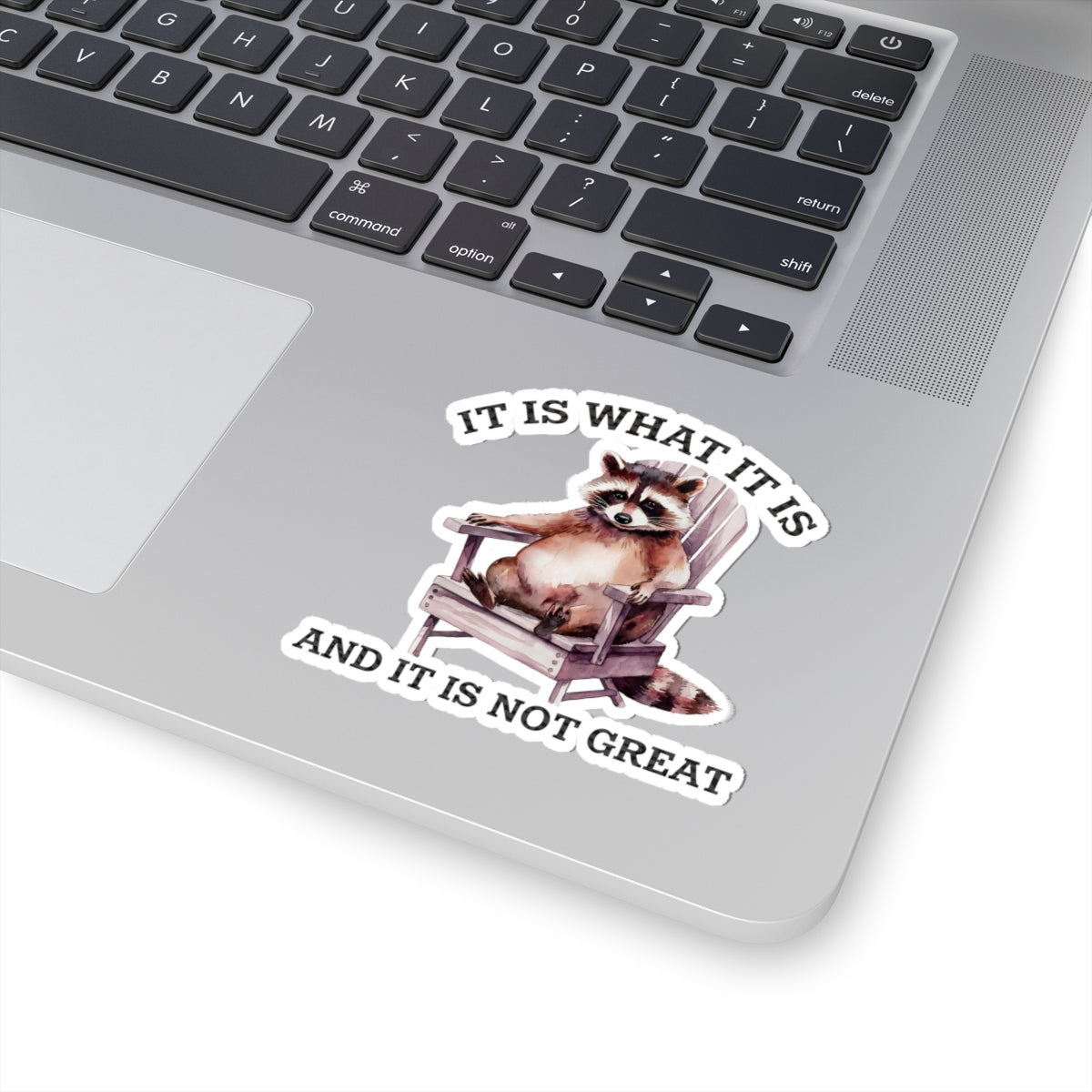 Whimsical Raccoon Kiss-Cut Stickers, Funny Office Decor, Laptop Stickers, Gift for Animal Lovers, Humorous Nature Art