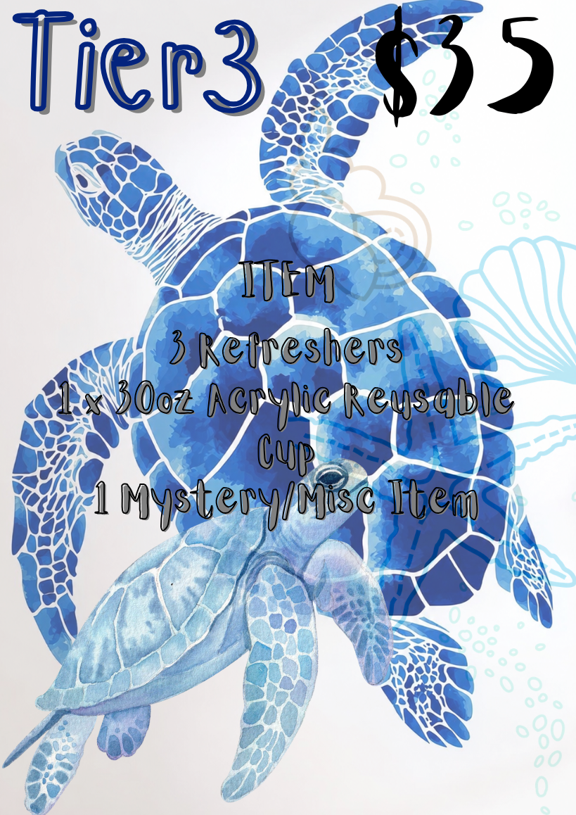 Tier 3: Ocean Box